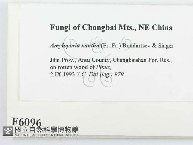 登錄號:F0006096藏品圖，第2張