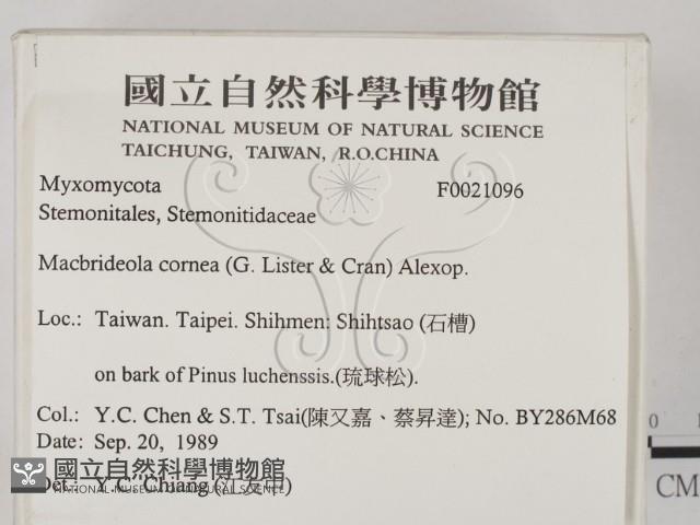 登錄號:F0021096藏品圖，第2張