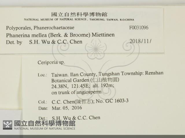 登錄號:F0031096藏品圖，第2張