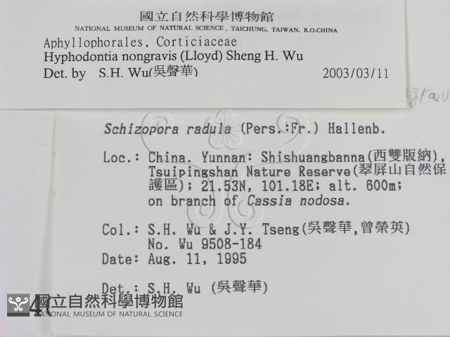 登錄號:F0004096藏品圖，第2張