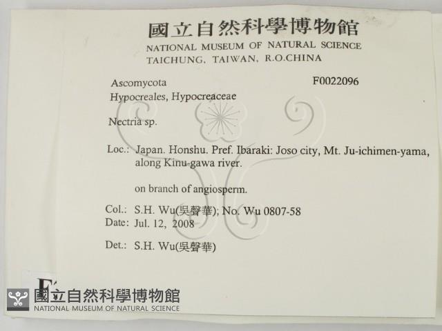 登錄號:F0022096藏品圖，第2張