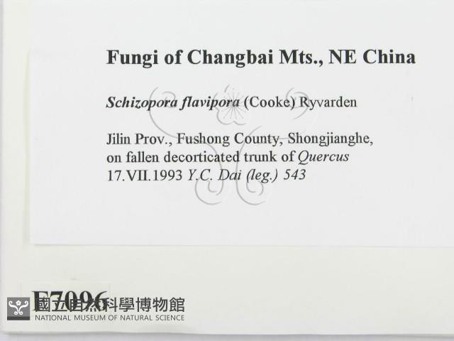 登錄號:F0007096藏品圖，第2張