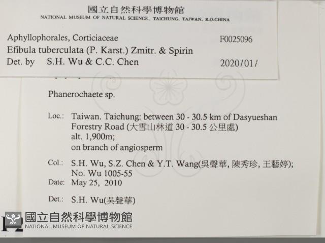 登錄號:F0025096藏品圖，第2張