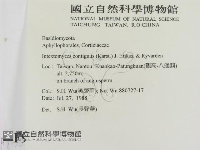 登錄號:F0009096藏品圖，第2張