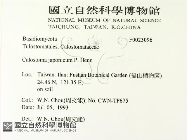登錄號:F0023096藏品圖，第2張