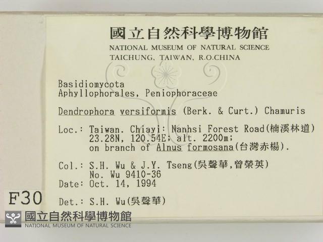 登錄號:F0003096藏品圖，第2張