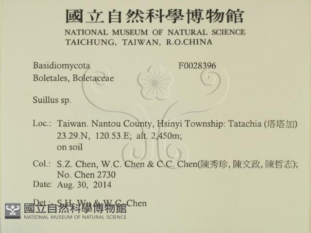 登錄號:F0028396藏品圖，第2張