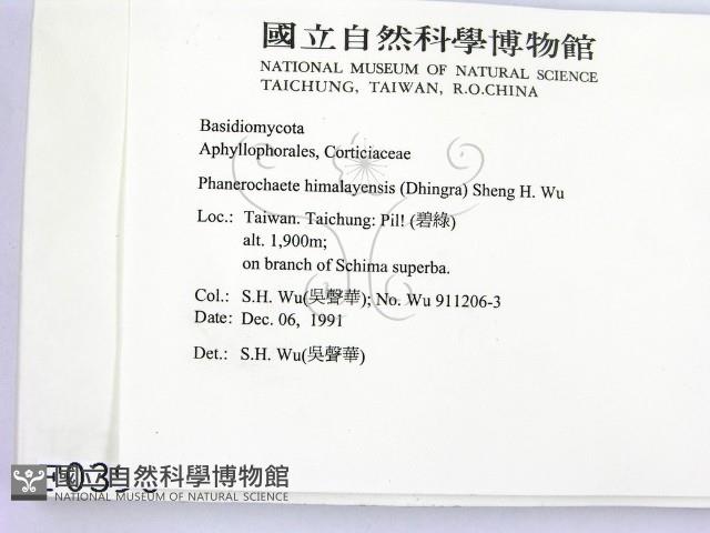 登錄號:F0000396藏品圖，第2張