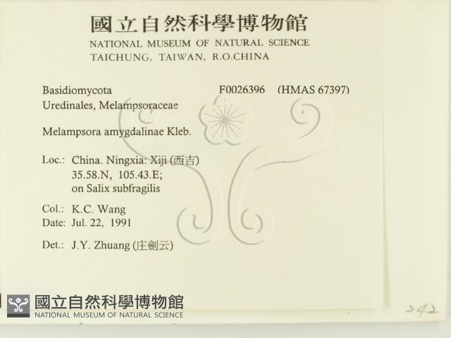 登錄號:F0026396藏品圖，第2張