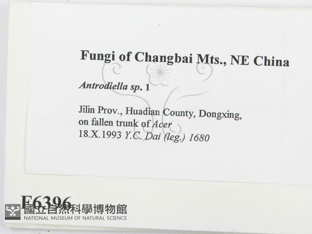 登錄號:F0006396藏品圖，第2張