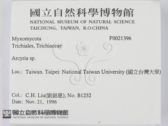 登錄號:F0021396藏品圖，第2張
