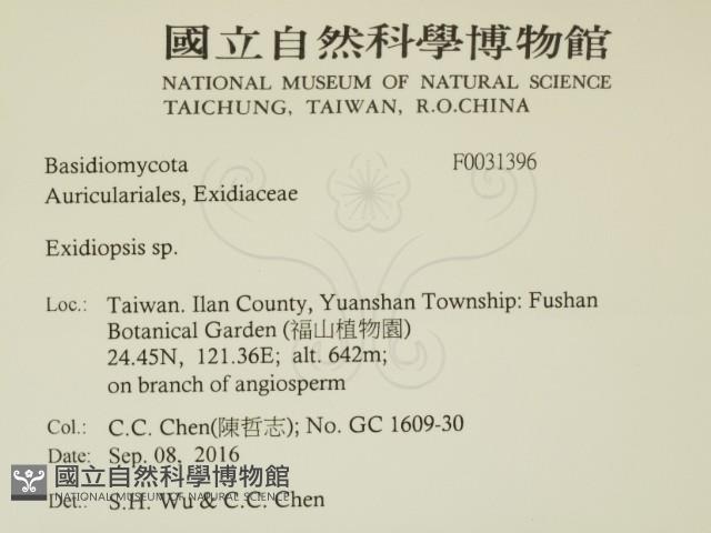 登錄號:F0031396藏品圖，第2張