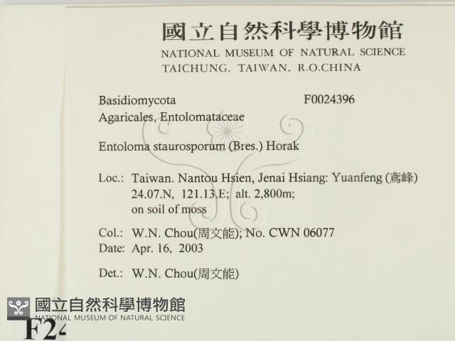 登錄號:F0024396藏品圖，第2張