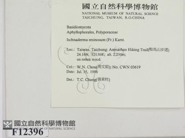 登錄號:F0012396藏品圖，第2張