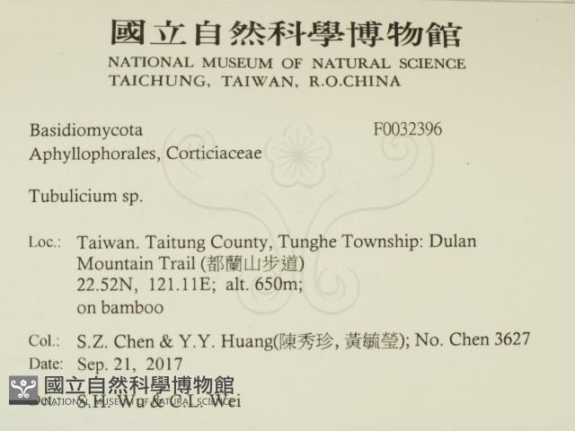 登錄號:F0032396藏品圖，第2張