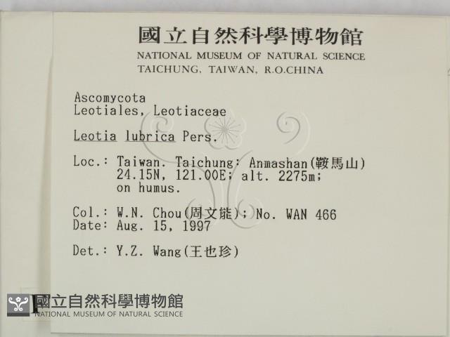 登錄號:F0007396藏品圖，第2張