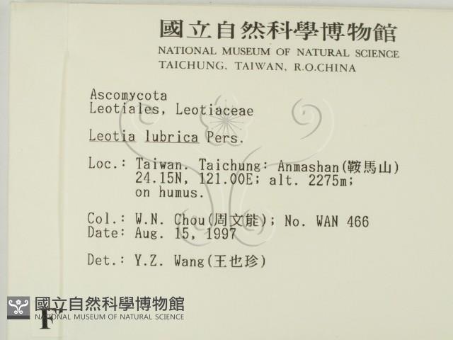 登錄號:F0017396藏品圖，第2張