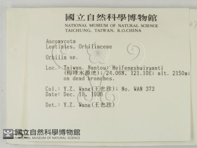 登錄號:F0005396藏品圖，第2張