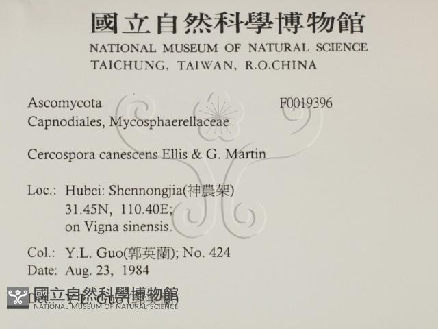 登錄號:F0019396藏品圖，第2張