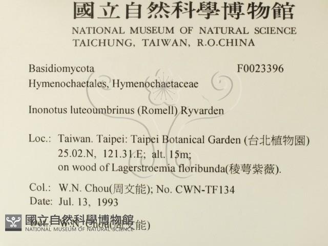登錄號:F0023396藏品圖，第2張