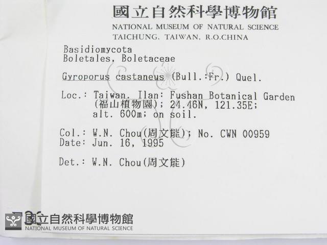 登錄號:F0003396藏品圖，第2張