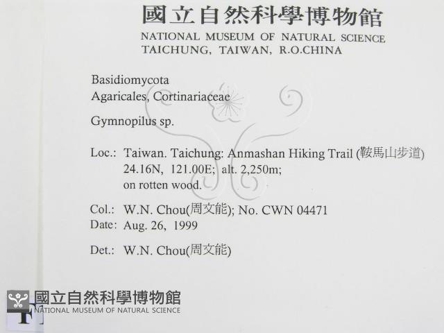 登錄號:F0013396藏品圖，第2張