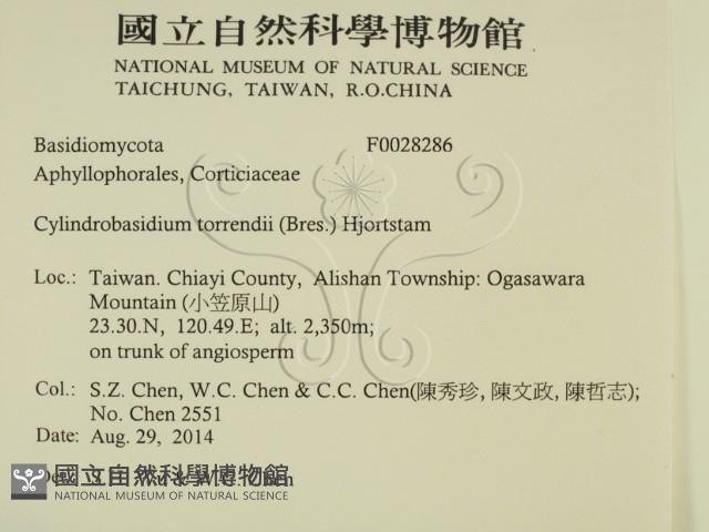 登錄號:F0028286藏品圖，第2張