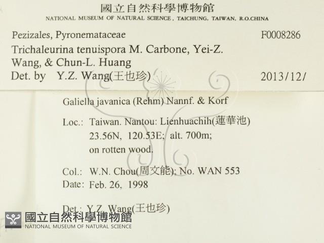 登錄號:F0008286藏品圖，第2張