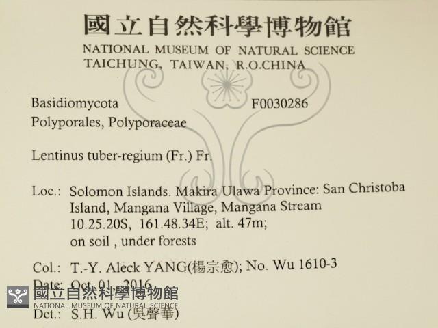 登錄號:F0030286藏品圖，第2張