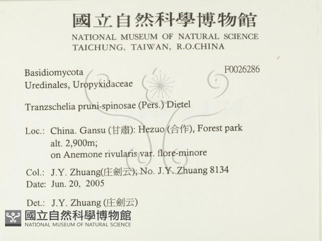 登錄號:F0026286藏品圖，第2張