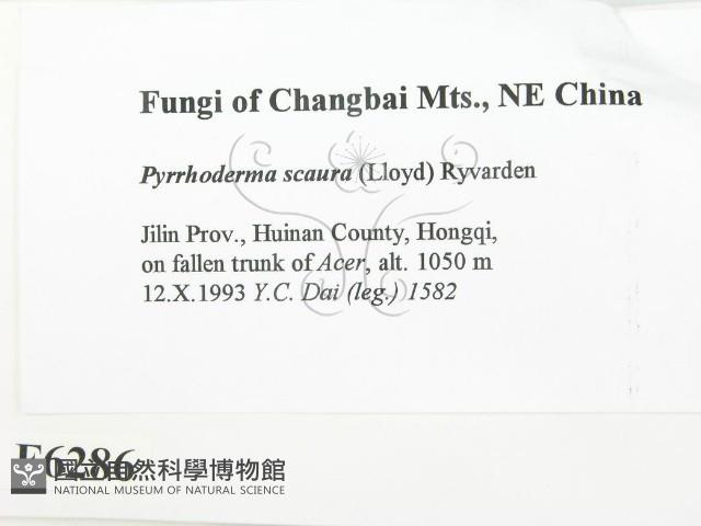 登錄號:F0006286藏品圖，第2張