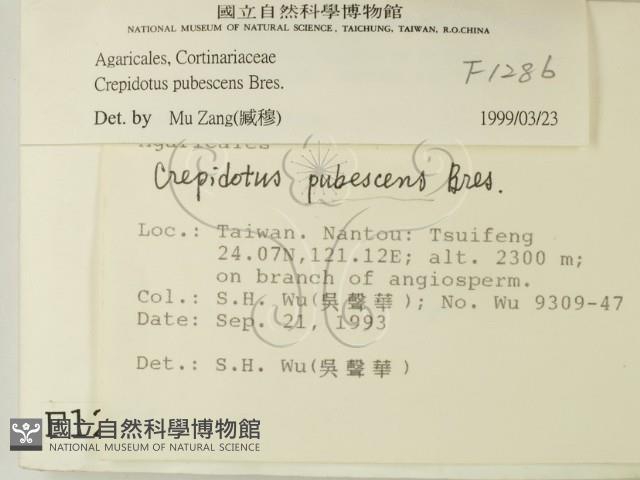 登錄號:F0001286藏品圖，第2張