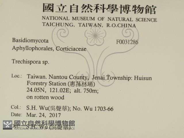 粗糙孢菌屬藏品圖，第2張