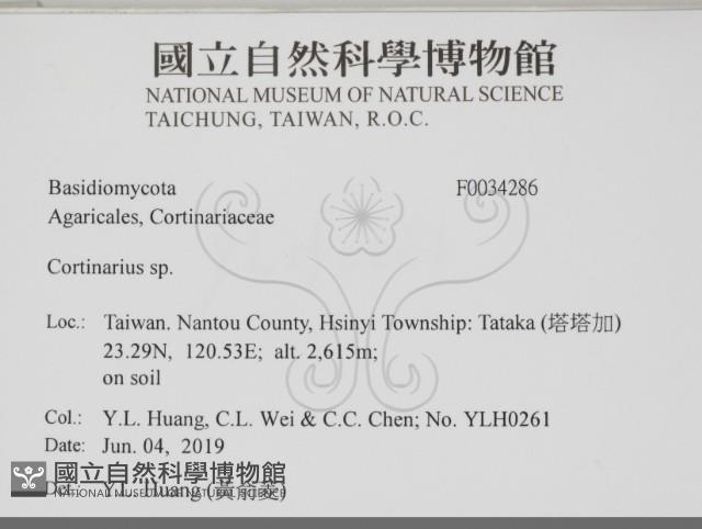 登錄號:F0034286藏品圖，第2張
