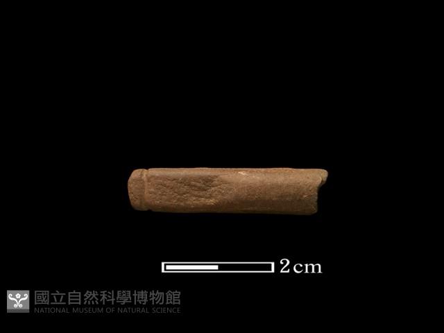 網墜藏品圖，第1張