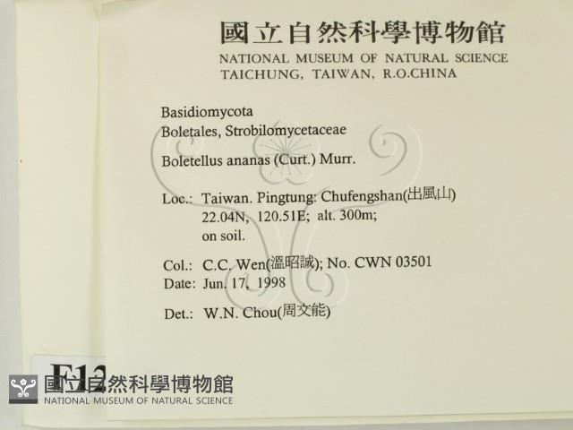 登錄號:F0012286藏品圖，第2張