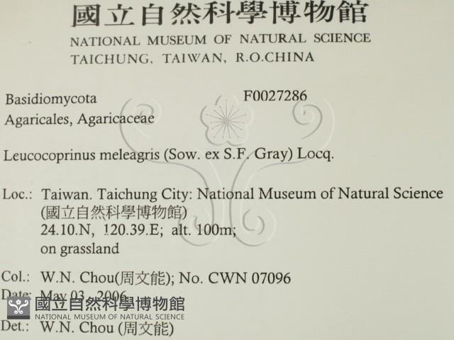 登錄號:F0027286藏品圖，第2張