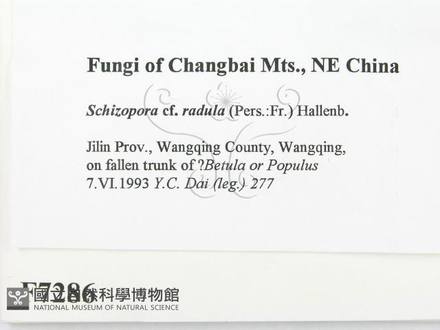 登錄號:F0007286藏品圖，第2張