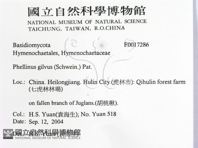 登錄號:F0017286藏品圖，第2張
