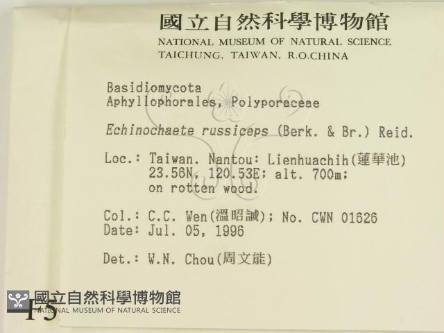 登錄號:F0005286藏品圖，第2張