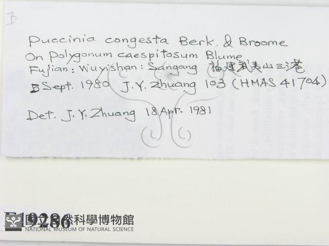 登錄號:F0019286藏品圖，第2張