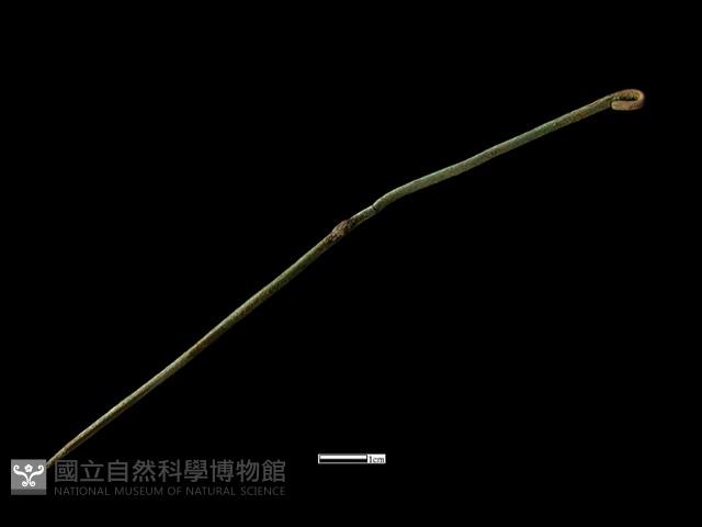 髮簪藏品圖，第1張