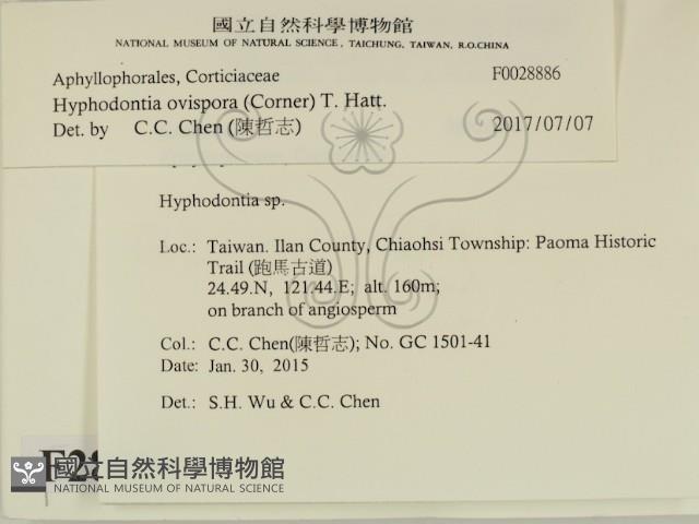 登錄號:F0028886藏品圖，第2張