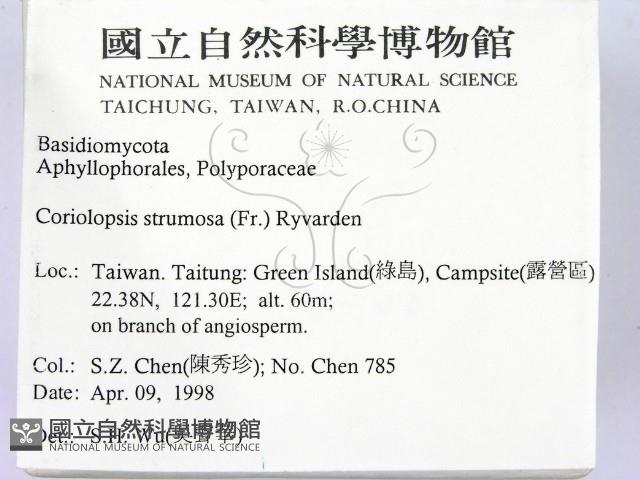 登錄號:F0008886藏品圖，第2張