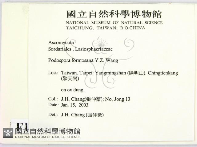 登錄號:F0016886藏品圖，第2張