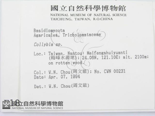 登錄號:F0001886藏品圖，第2張