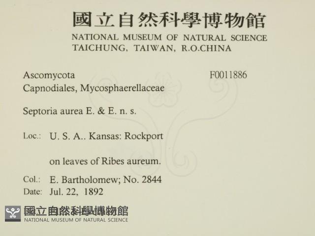 登錄號:F0011886藏品圖，第2張