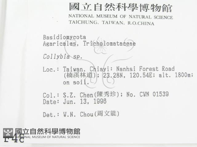 登錄號:F0004886藏品圖，第2張