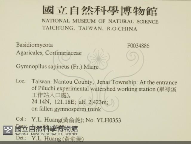 登錄號:F0034886藏品圖，第2張