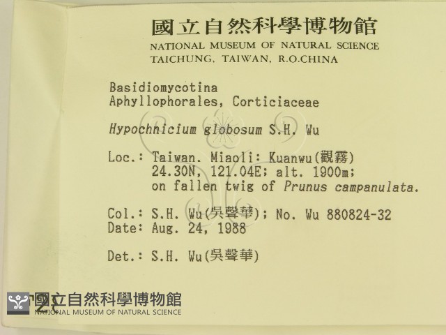 登錄號:F0002886藏品圖，第2張